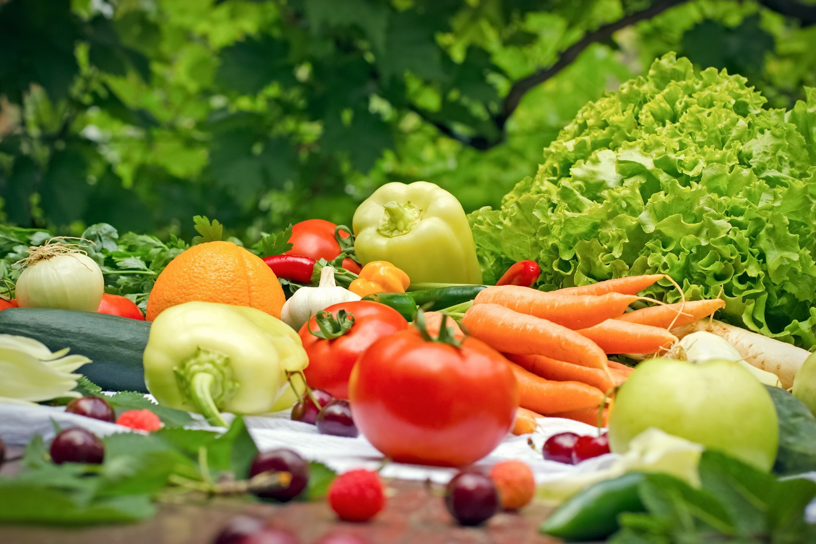 Is Organic Better? Why Eat Organic? It’s Expensive, So It Must Be Good?